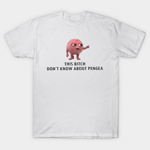 This Bi*** don't know about pengea T-Shirt by PRINT-LAND